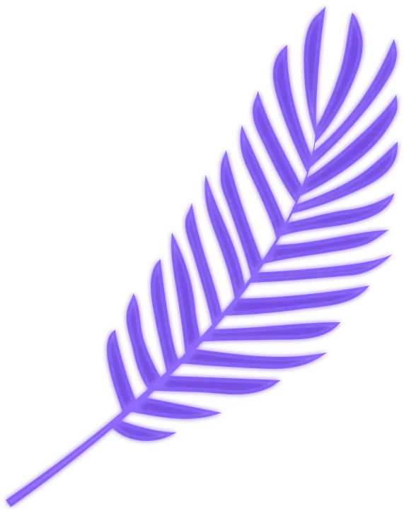 Desktop Purple plant