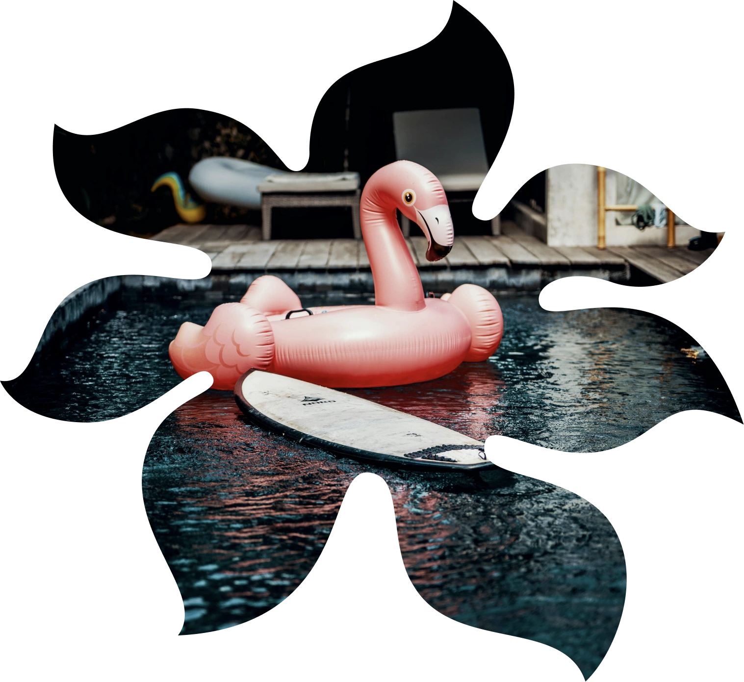 Summer Sale